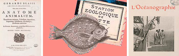 image station biologie marine Sète