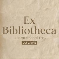 Accéder à l'exposition virtuelle