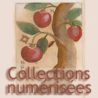 Collections numérisées